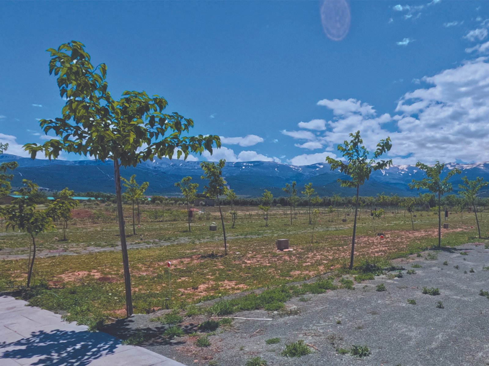 Camping Las Viñas, foto 4